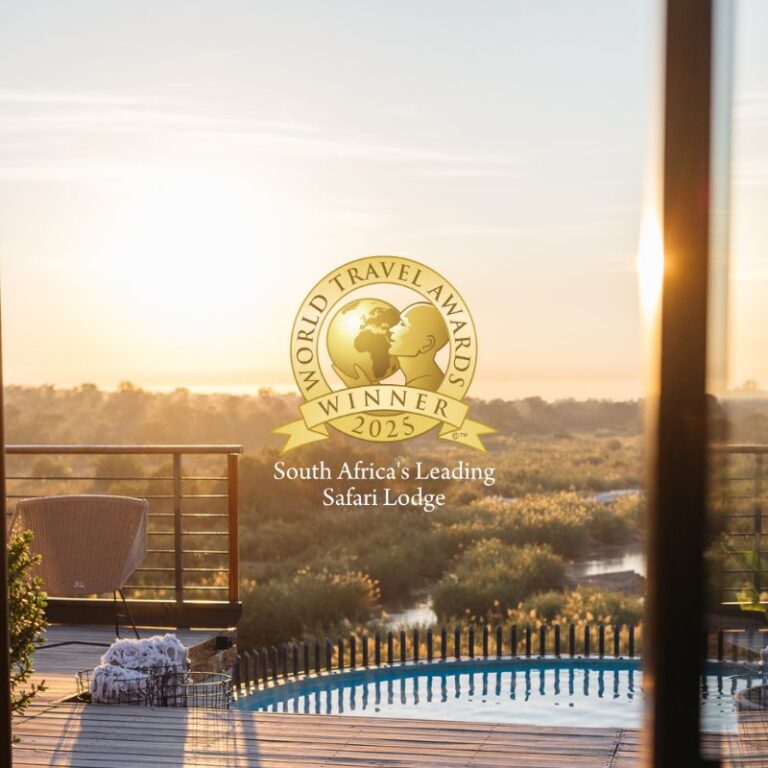 Soccer Shoes Name In South Africa Soccer Shoes Name In South Africa